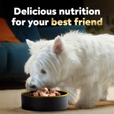 Wet Dog Food Variety Pack - Complete and Balanced Meal for Adult Dogs - Formulated Without Grains - 3.5 oz Trays (24 Pack)