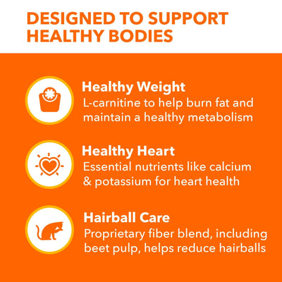 Proactive Health Chicken and Turkey Dry Cat Food - Dry Cat Food Supports Whole-Body Health with Essential Nutrients - 22 Lb Bag