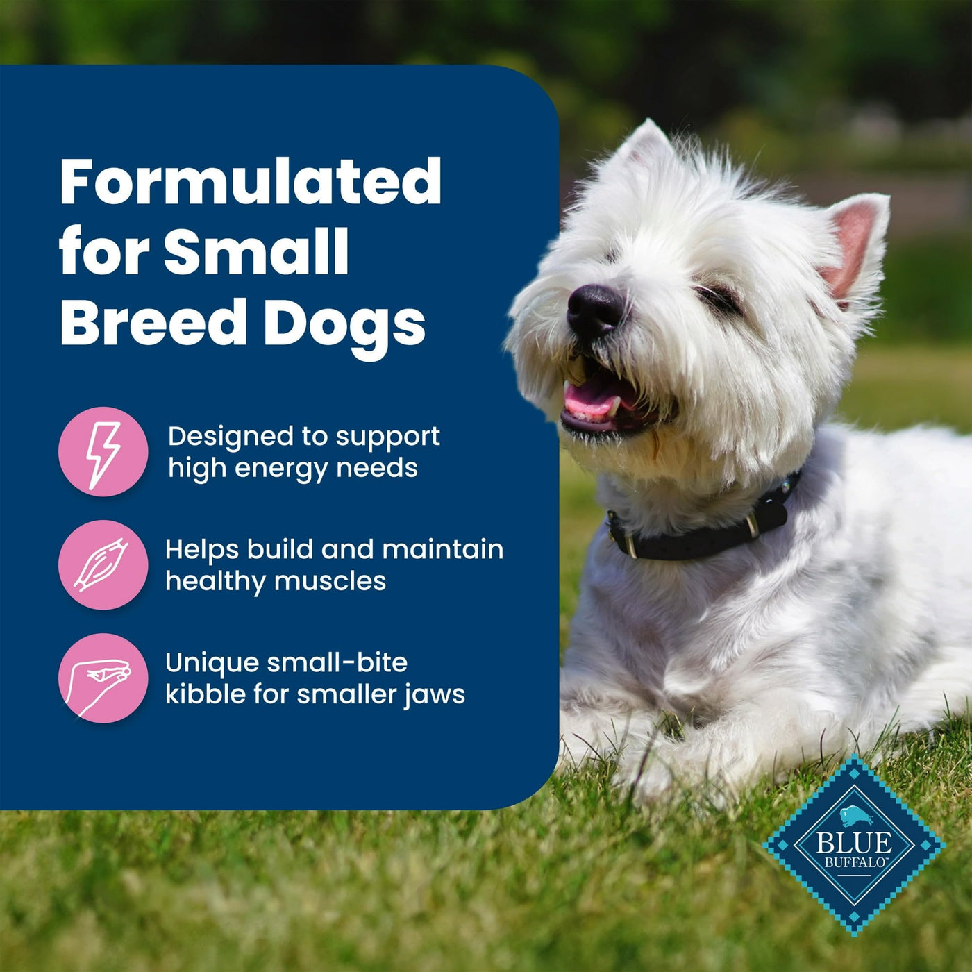Trase A Life Protection Formula Small Breed Dry Dog Food Chicken & Brown Rice - Contains Essential Proteins and Carbs to Support Higher Energy Requirements of Small Breed Dogs - 5 lbs