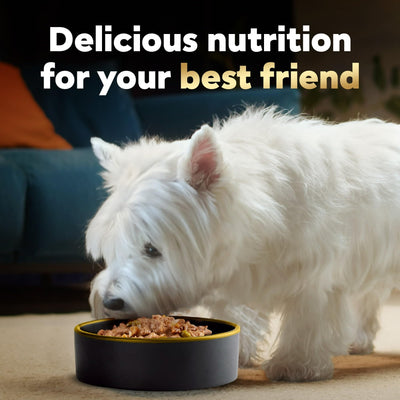 (4 Pack) Home Delights Slow Cooked Chicken and Vegetables Wet Dog Food - 3.5 Oz Tray - Complete and Balanced and Fortified with Vitamins and Minerals to Help Dog's