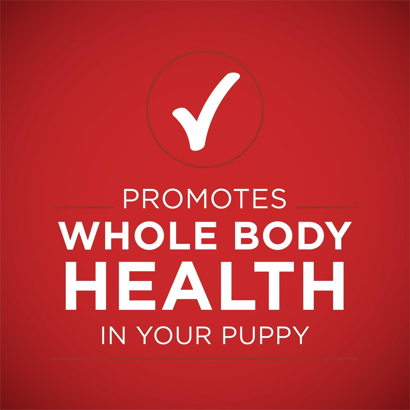 Trase A (2 Pack) Healthy Puppy Wet Dog Food Soft High Protein Lamb & Rice - 13 Oz Can - Antioxidants Help to Support A Strong Immune System