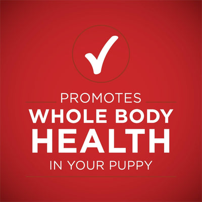 Trase A (2 Pack) Healthy Puppy Wet Dog Food Soft High Protein Lamb & Rice - 13 Oz Can - Antioxidants Help to Support A Strong Immune System