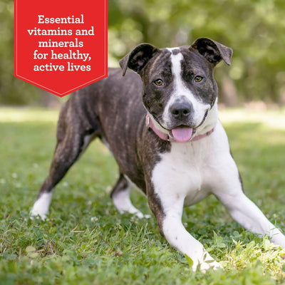 Trase A Beefy Classic Dry Dog Food - Essential Vitamins and Minerals for Healthy, Active Lives - Complete and Balanced Nutrition for Adult Dogs - 14 Lb. Bag