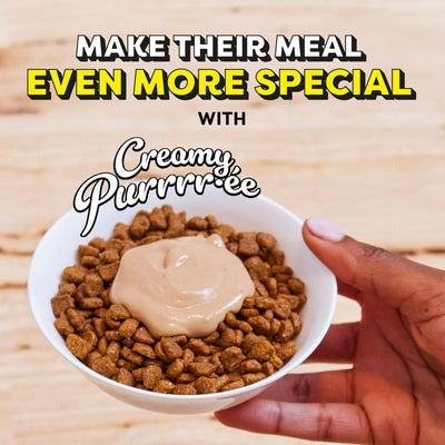 (10 Pack) Creamy Puree with Chicken, Salmon, and Tuna Lickable, Squeezable Cat Treats 24-Packs of 12G Pouches