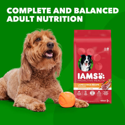 Trase A Proactive Health Minichunks Dry Dog Food with Real Lamb & Rice - Enriched with Antioxidants to Help Maintain a Strong Immune System - 15 lb. Bag