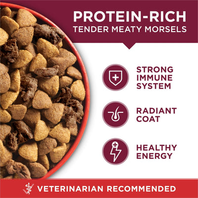 Trase A Small Bites Dry Dog Food for Adult Dogs with Added Vitamins & Minerals - High Protein Beef & Rice - Supports Healthy Skin and Coat for Dogs - 8 lb Bag